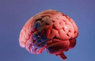 Harmo Brain supporting mental clarity and cognitive wellness