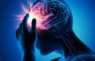 Harmo Brain supporting daily focus and attention